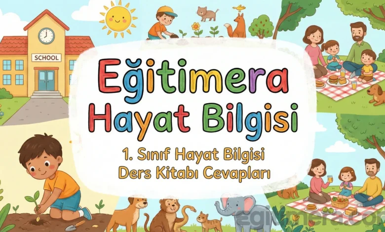 1. Sınıf Hayat Bilgisi Ders Kitabı Cevapları