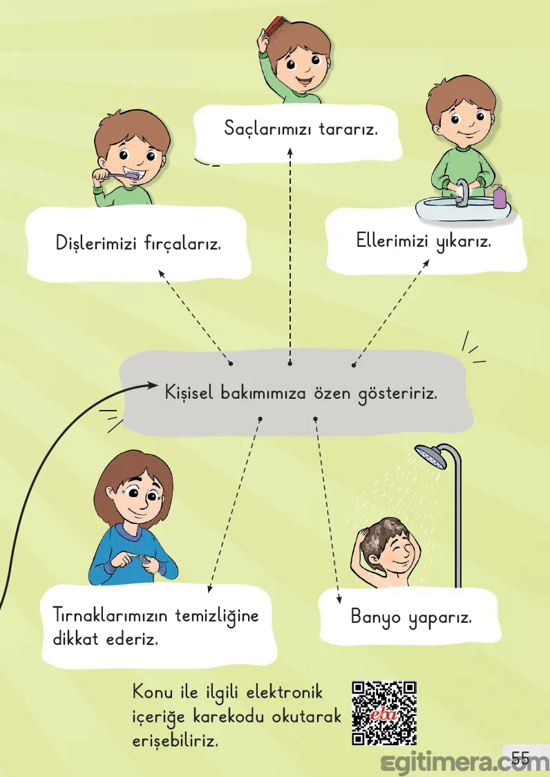 1. Sınıf Hayat Bilgisi Ders Kitabı Cevapları Sayfa 55 – MEB Yayınları