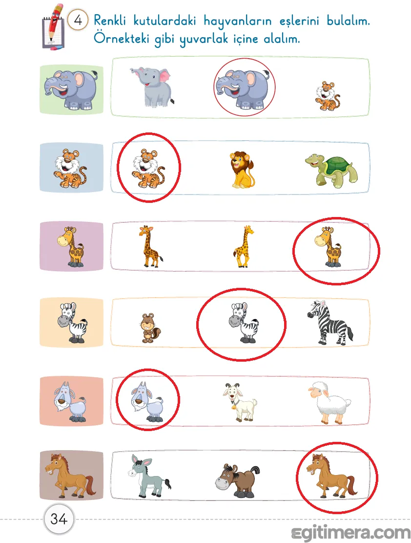 1. Sınıf Matematik ders kitabı sayfa 34; ördek, civciv ve diğer hayvanların yer aldığı, renkli kutulardaki hedeflerin eşlerinin bulunduğu çalışma sayfası.
