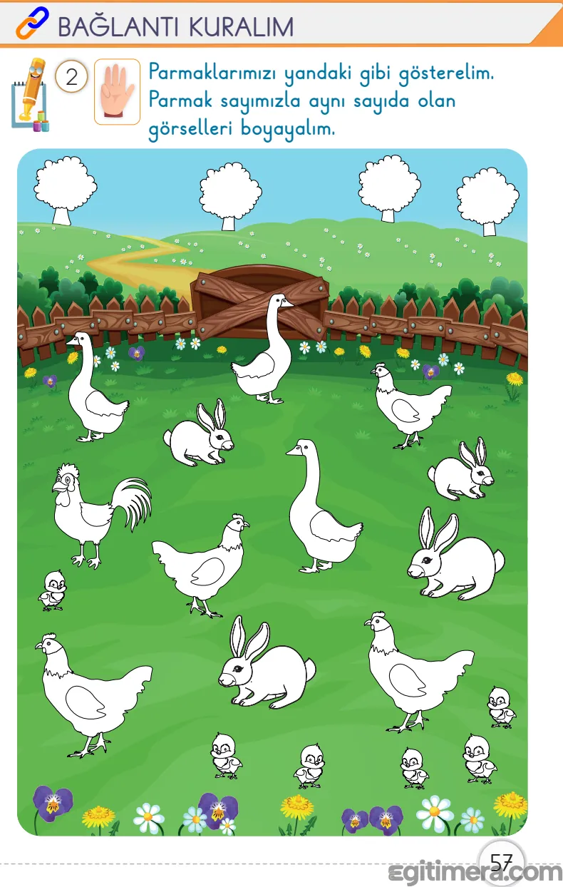 1. Sınıf Matematik ders kitabı sayfa 57; dört parmağı açık el figürü ve miktarı 4 olan köpek, top gibi nesne gruplarının boyandığı etkinlik sayfası.