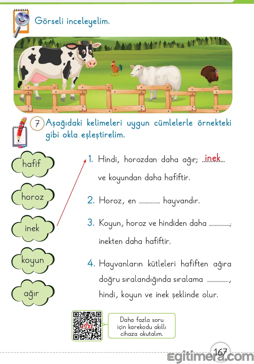 1. Sınıf Matematik ders kitabı sayfa 167; çiftlik hayvanlarının (horoz, hindi, koyun, inek) kütlelerine göre sıralandığı ve cümle eşleştirme yapıldığı görsel.