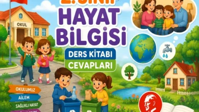2. Sınıf Hayat Bilgisi Ders Kitabı Cevapları
